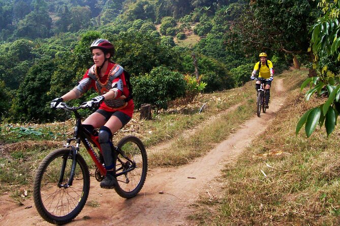 No.1 Chiang Mai: Epic Doi Suthep Downhill MTB Adventure - Khun Chang Khian: coffee, walking time, and Mae Ping Valley views