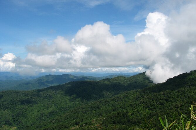 No.1 Chiang Mai: Epic Doi Suthep Downhill MTB Adventure - Transport, timing, and what the full day actually feels like