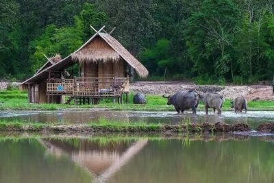 "No.1 Chiang Mai: Leisure Bicycle Ride to Lake Huay Tueng Tao" - Back Toward Chiang Mai: The Return Ride Felt Different