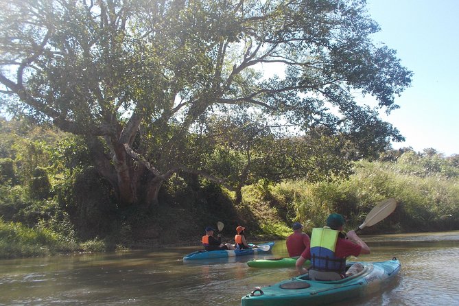 No.1 Chiang Mai: Leisure River Kayaking: Mae Taeng forest Reserve - Mae Ping River kayaking: what makes this trip feel special