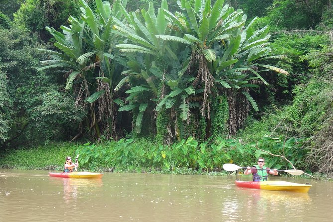 No.1 Chiang Mai: Leisure River Kayaking: Mae Taeng forest Reserve - Wildlife and birds in the Mae Taeng Forest Reserve area