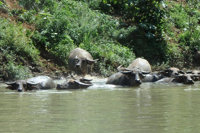 No.1 Chiang Mai: Leisure River Kayaking: Mae Taeng forest Reserve - Gear, safety, and the support truck you’ll be glad is there