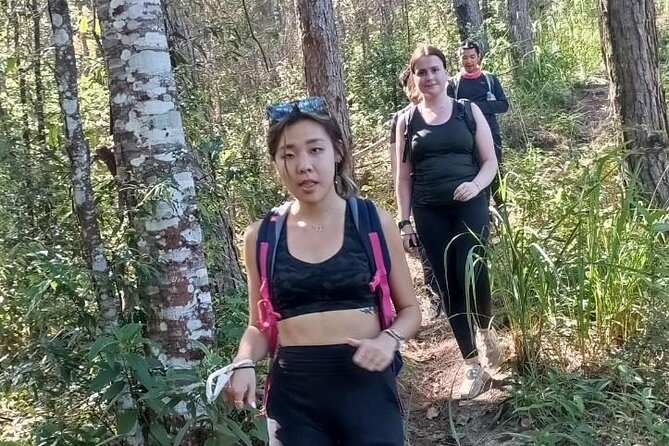 "No.1 Chiang Mai: Suthep N. Park Leisure walks & Mountain Biking" - Khun Chang Khian hill-tribe village: Thai lunch and slower time on your own