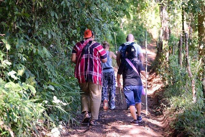 Off the Map Chiang Mai Jungle Coffee Trek Roast and Brew - Forest Coffee Walk: seeing coffee plants in the wild