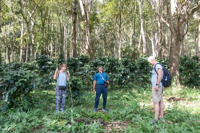 Off the Map Chiang Mai Jungle Coffee Trek Roast and Brew - V60 brewing workshop: mastering the pour-over method