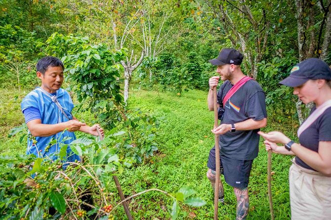 Off the Map Chiang Mai Jungle Coffee Trek Roast and Brew - Timing, photo stops, and the realities of a full 8–10 hour day
