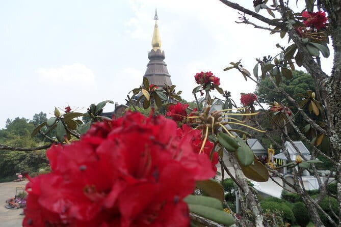 One day Doi Inthanon National Park & Trekking on Kew Mae Pan - Value and Logistics: Is $161.99 a Good Deal?