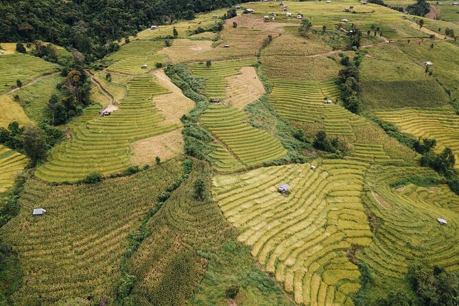 One day Doi Inthanon & Trekking at Pha Dok Siew - Doi Inthanon summit and the Royal Agricultural Station gardens