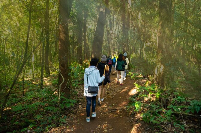 One day Doi Inthanon & Trekking at Pha Dok Siew - Price and logistics: what $63.22 buys you in real time