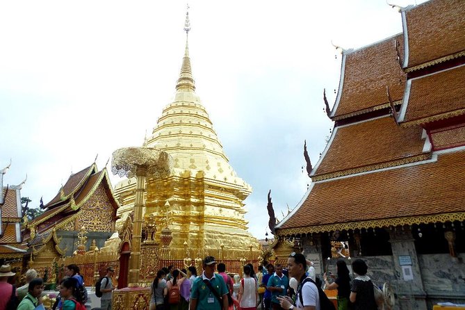 One Day Tour Doi Suthep Temple, Palad Temple, Orchid Farm, Longneck hill tribe village (Private tour) - Getting picked up (inside the city) and staying comfortable all day