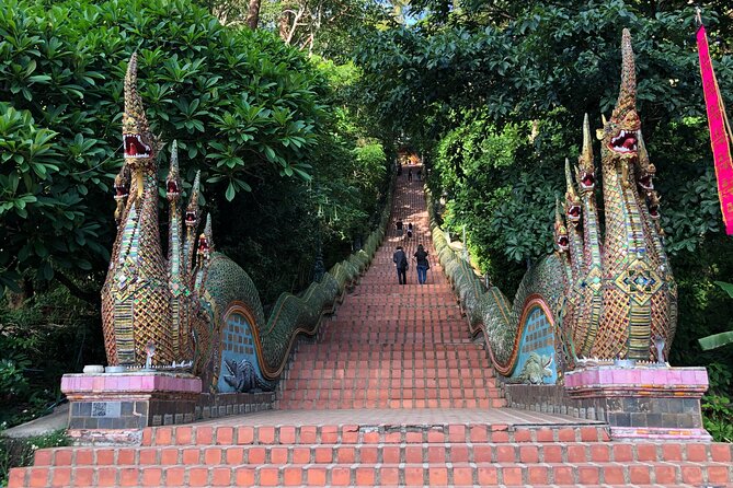One Day Tour Doi Suthep Temple, Palad Temple, Orchid Farm, Longneck hill tribe village (Private tour) - Bai Orchid and Butterfly Farm: a garden break that resets your brain