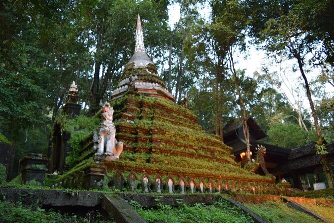 One Day Tour Doi Suthep Temple, Palad Temple, Orchid Farm, Longneck hill tribe village (Private tour) - Guide and driver impact: what you can hope for