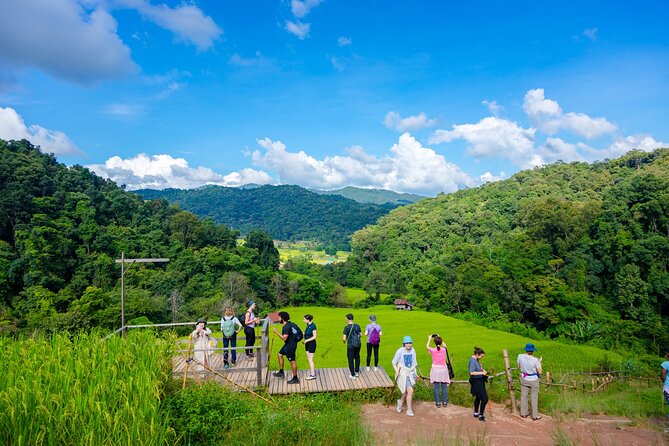 Pha Dok Siew Nature Trail & Doi Inthanon National Park From Chiang Mai - Key Things I’d Watch For