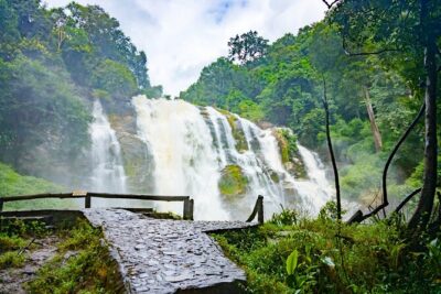 Pha Dok Siew Nature Trail & Doi Inthanon National Park From Chiang Mai - Getting There From Chiang Mai: Pickup, Timing, and Real-World Flow