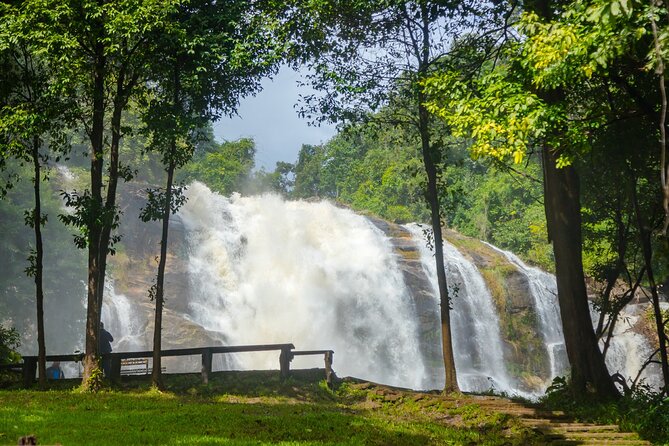 Pha Dok Siew Nature Trail & Doi Inthanon National Park From Chiang Mai - Pha Dok Siew Nature Trail: The Best Balance of Walk and Learning