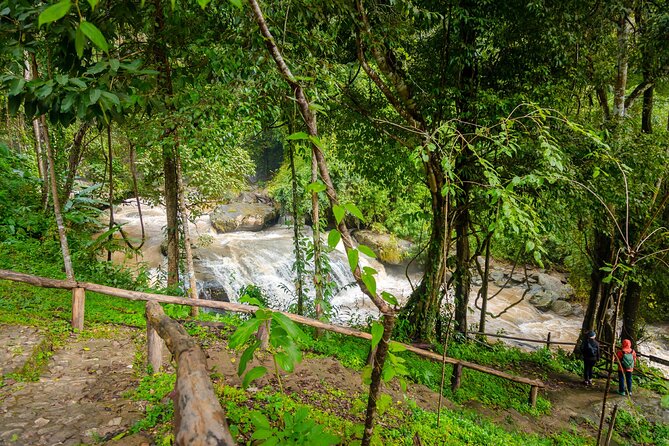 Pha Dok Siew Nature Trail & Doi Inthanon National Park From Chiang Mai - Lunch and the Value Math: Why This Price Makes Sense