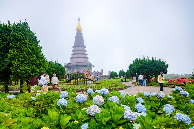 Pha Dok Siew Nature Trail & Doi Inthanon National Park From Chiang Mai - Guide Quality: Often a Strength, Sometimes a Question