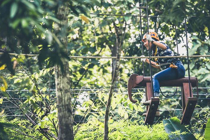 Phoenix Zipline Adventure Park – Chiang Mai Thrills - Beyond the ziplines: treetop obstacles you’ll actually notice