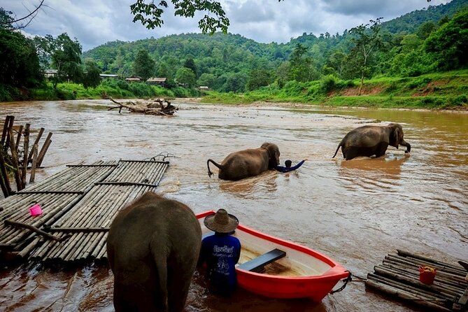 Private 3 Day Chiang Mai and Chiang Rai Tour - The big picture: why this 3-day North Thailand mix works