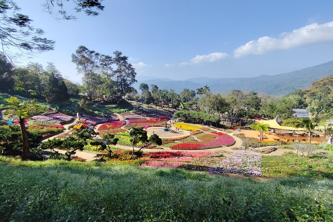 Private 3 Day Chiang Mai and Chiang Rai Tour - Should you book this Chiang Mai and Chiang Rai private 3-day tour?