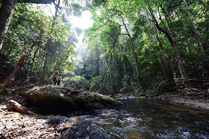 Private All-Inclusive Doi Inthanon & Pha Dok Siew Waterfall Tour - Lunch in the mountains: included, and a real reset