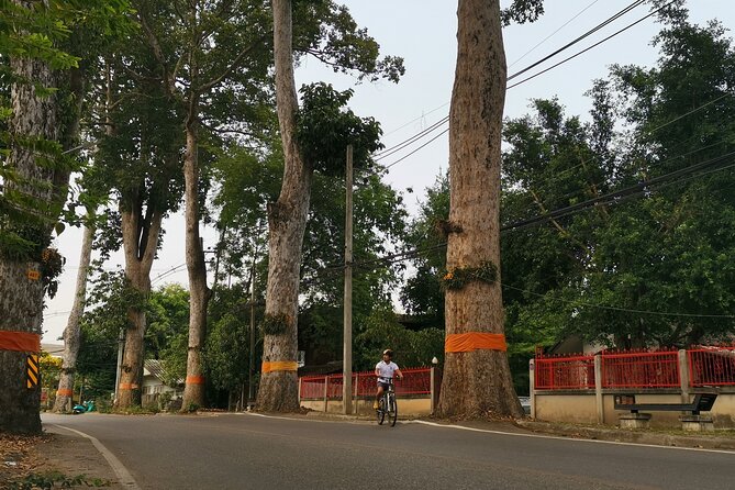 Private Chiang Mai Half-Day Bike Tour - The Mae Ping River Stretch: Where the Ride Feels Like a Break