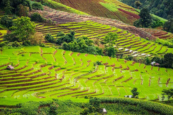 Private Program Discovery Chiang Mai - Half/Full day / Night tour - What to bring and how to dress for temple + night markets