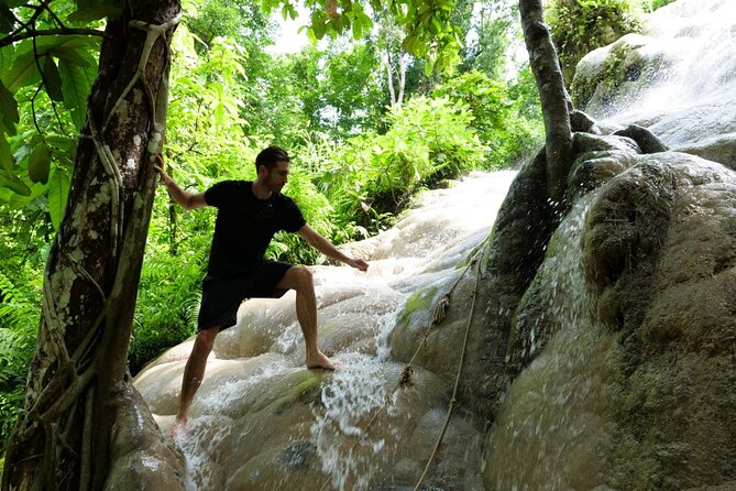 Private Tour: Bua Thong Sticky Waterfalls Tour - Key Points I’d Bank On