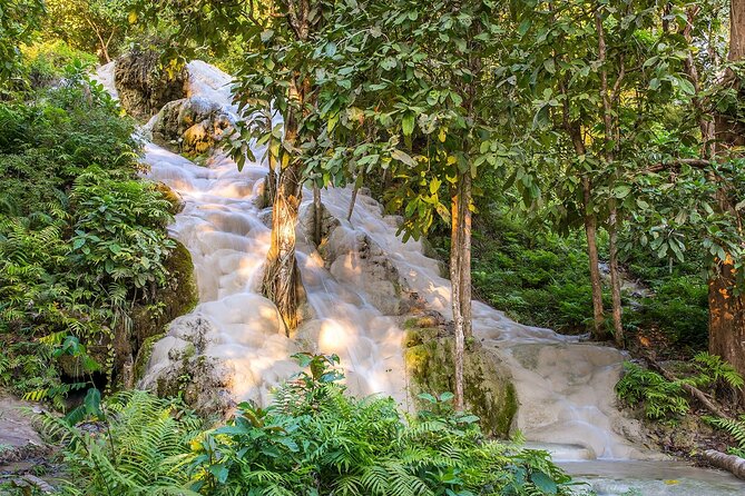 Private Tour: Bua Thong Sticky Waterfalls Tour - Sticky Limestone Steps: What Makes Bua Thong Worth It