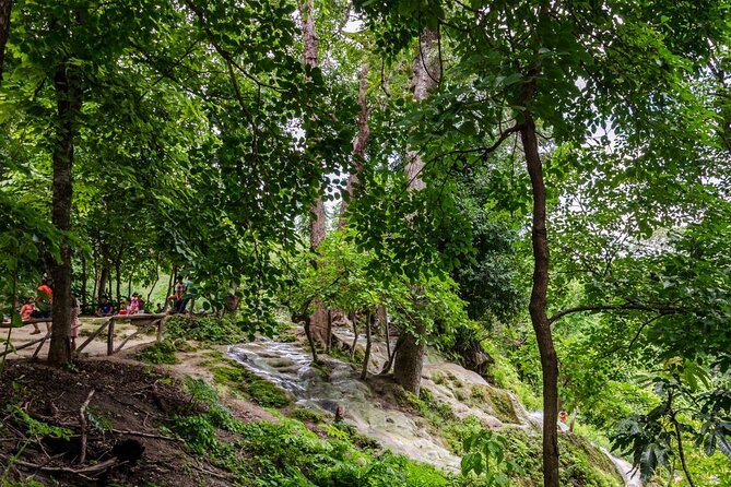 Private Tour: Bua Thong Sticky Waterfalls Tour - Your 4-Hour Plan: From 9:00 AM Pickup to Falls Time