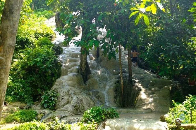 Private Tour: Bua Thong Sticky Waterfalls Tour - The Upper Excursion Area: Pools, Limestone Texture, and Where You Stop