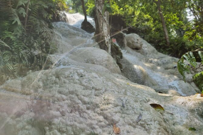 Private Tour: Bua Thong Sticky Waterfalls Tour - Guide Support: Making the Climb Feel Easy