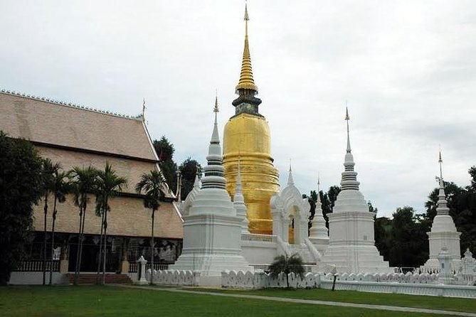 Private Tour: Chiang Mai City and Temples - Stop 3: Wat Suan Dok and the royal memorial chedis