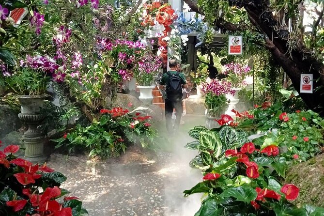Private Tour Chiang Rai 3 Wonderful Temples & Lalitta Cafe - Huay Pla Kang Red Temple: the mountain-top viewpoint effect