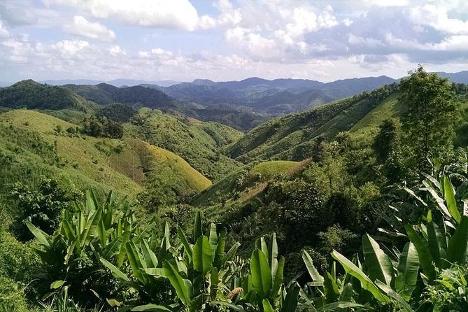 Private Tour: Chiang Rai Golden Triangle Day Trip from Chiang Mai - Should You Book This Golden Triangle Private Day Trip?