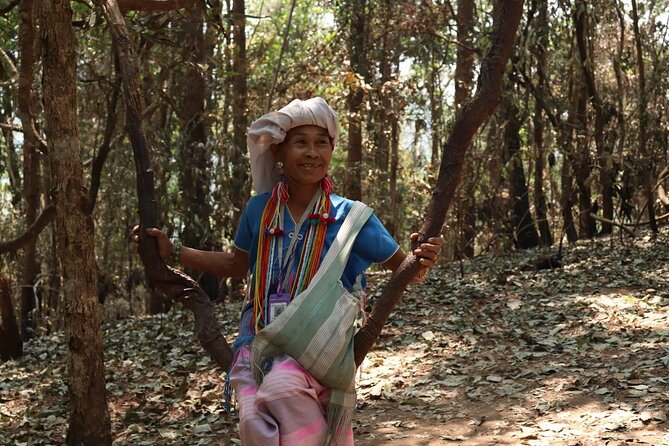 Private Tour Doi Inthanon And Trekking Nature Trail, Chiang Mai - Private transport from Chiang Mai: comfort that saves energy
