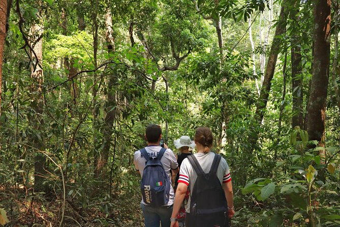 Private Tour Doi Inthanon And Trekking Nature Trail, Chiang Mai - Wachirathan Falls: a top waterfall stop with limited time