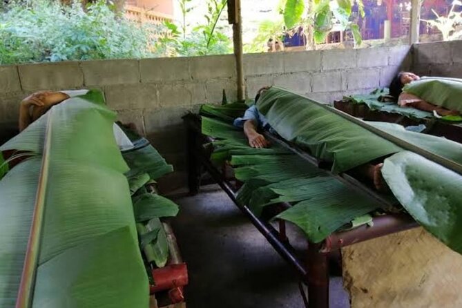 Private Tour in Chiang Mai Village Experience Nature - Stop 1 at Mae Kampong Village: cooking, harvest, and making your own pillow