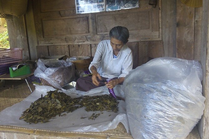Private Tour in Chiang Mai Village Experience Nature - Food and costs: what’s included, what’s optional