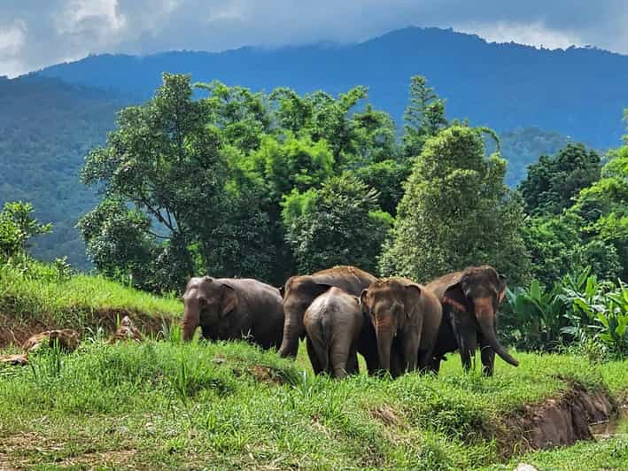 Rantong elephant sanctuary Chiangmai - Getting To Rantong From Chiang Mai Old City