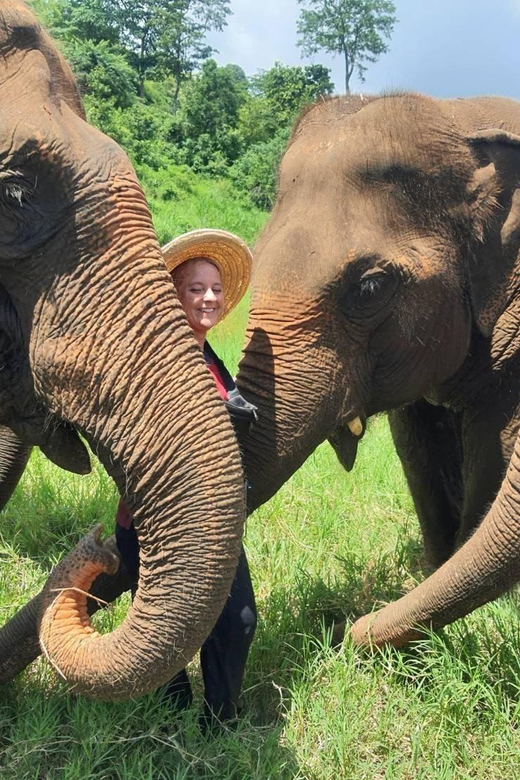 Rantong elephant sanctuary Chiangmai - The Half-Day Flow: Coffee, Thai Meal, Walk, Camp Activities