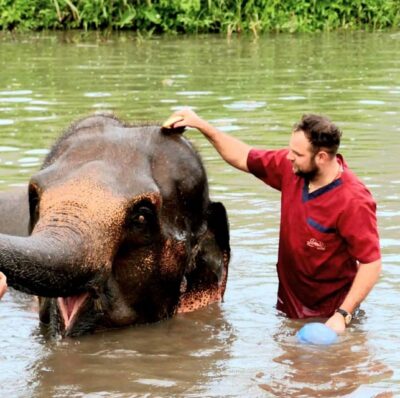 Rantong elephant sanctuary Chiangmai - Rescued Elephants, No Riding, Real Interaction Time