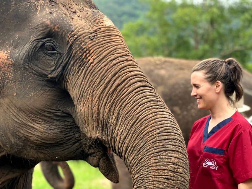 Rantong elephant sanctuary Chiangmai - What’s Included in the $57 and Why It’s Good Value