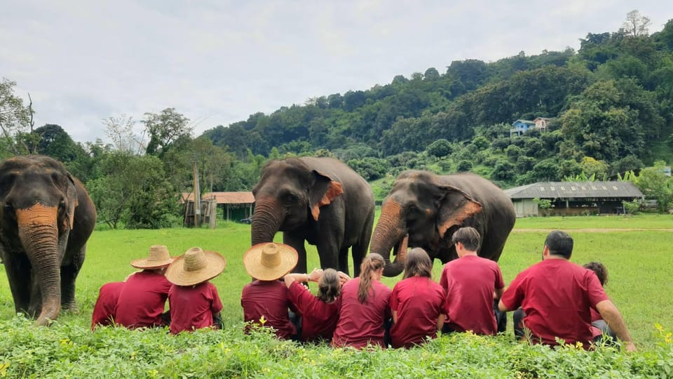 Rantong elephant sanctuary Chiangmai - The Ethical Comfort Question (and What to Ask Yourself)