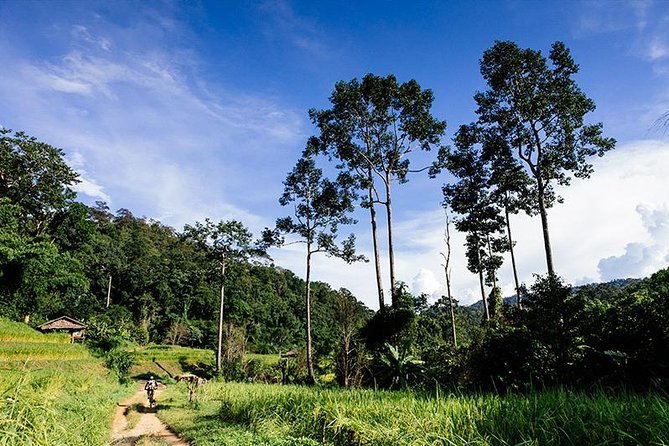 Rural Explorer Mountain Biking Tour Chiang Mai - Value Check: What You Actually Get for $81.44
