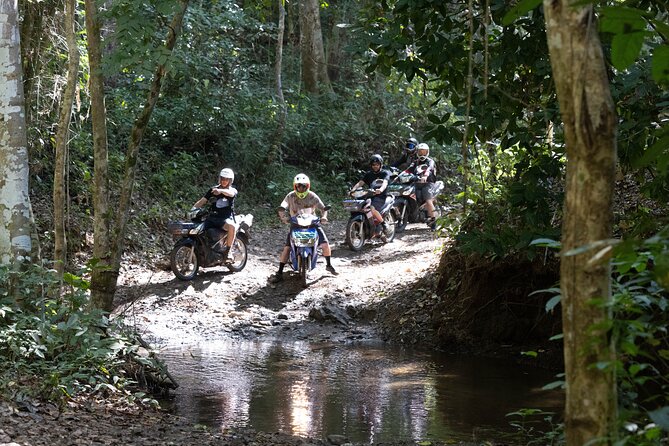 Scooter Adventure with elephants, views and FUN drive yourself - Chiang Mai by scooter: getting out of town fast