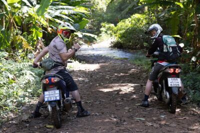 Scooter Adventure with elephants, views and FUN drive yourself - Elephant Fun Farm Chiang Mai: the 1-hour encounter that shapes the day