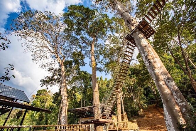 Sky Hawk Zipline Experience in Chiang Mai - The park route: 32 platforms, 18 ziplines, and plenty of movement