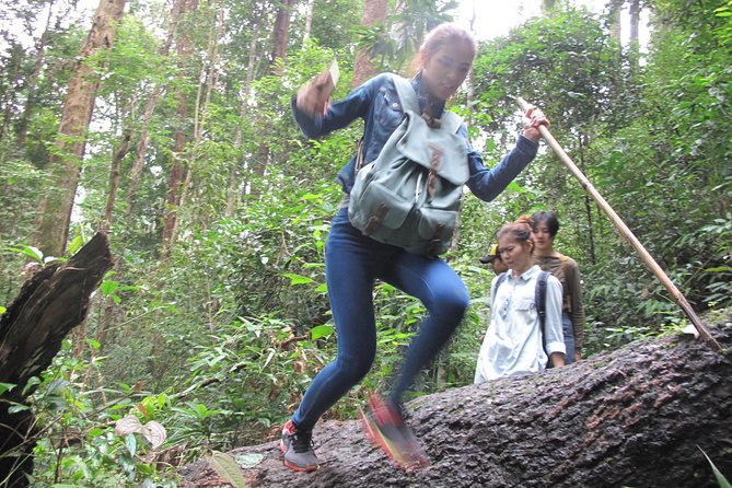 Small Group : Trekking Trip in Chiang Mai (Doi Suthep Area) with Market Tour - Doi Suthep Trek + Market Morning: the vibe and the value