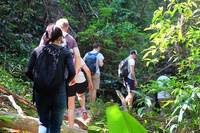 Small Group : Trekking Trip in Chiang Mai (Doi Suthep Area) with Market Tour - Getting picked up and set up (without the chaos)